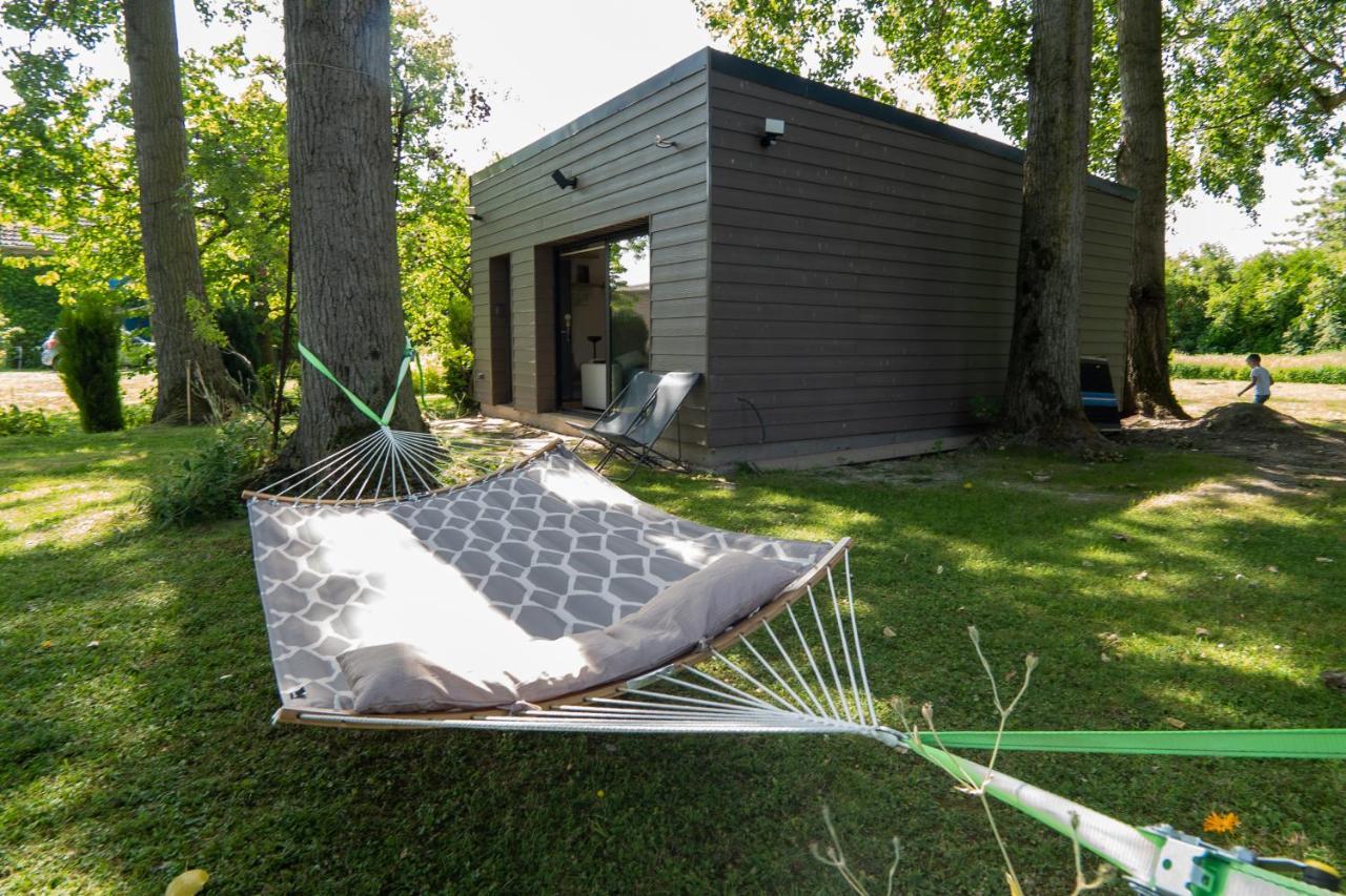 Capsule Nature & Photos - Jacuzzi - Netflix & Cinema - Ps5 & Jeu Apartment Thun-Saint-Martin