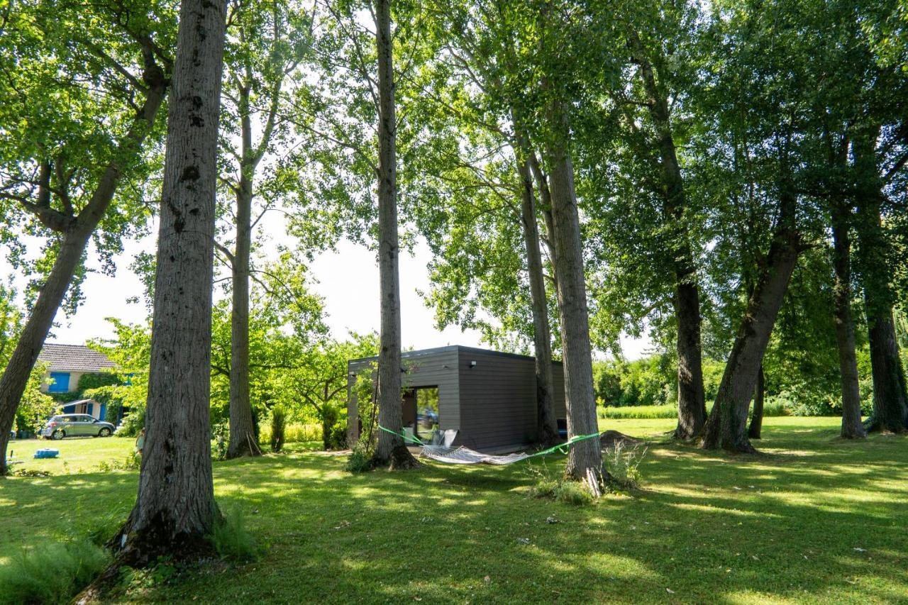 Capsule Nature & Photos - Jacuzzi - Netflix & Cinema - Ps5 & Jeu Apartment